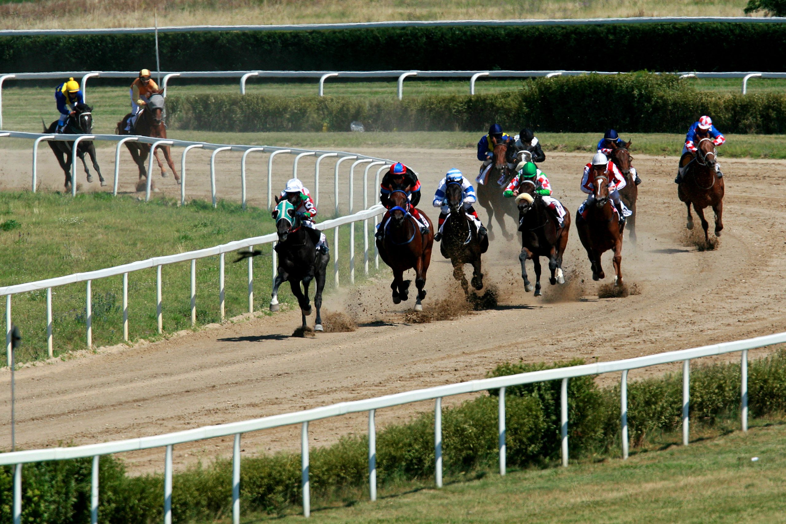 Oriental Star célfotóval nyerte a 103. Galopp Magyar Derbyt